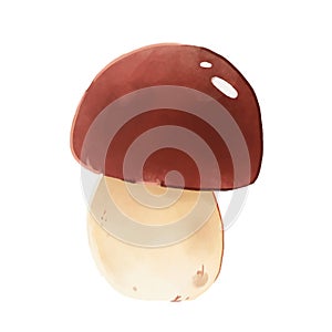 Illustration of edible boletus mushroom with smooth brown cap, thick white stem and pores isolated on white background. Forest