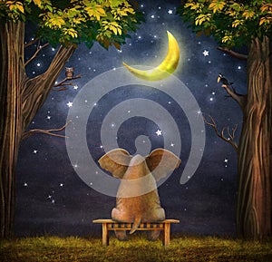 Illustration of a elephant on a bench in night forest