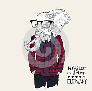 Illustration of elephant hipster dressed up in jacket, pants and sweater. Vector illustration