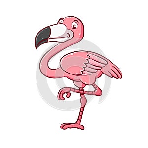 The enamor flamingo with the pink color and she has a long legs