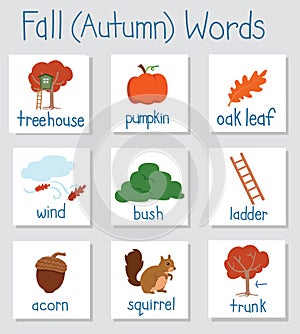 Illustration of English vocabulary cue cards related to the Fall Autumn season