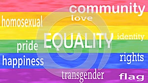 Illustration of Equality word lettering isolated on lgbt flag colors background