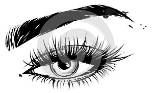 Illustration of eye makeup and brow on white background