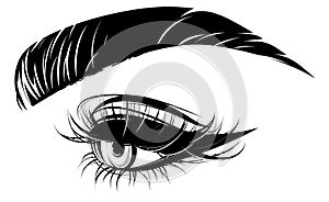 Illustration of eye makeup and brow on white background