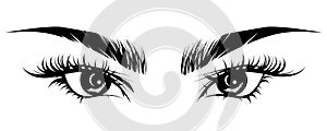 Illustration of eye makeup and brow on white background