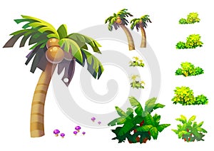 Illustration: Fantastic Tropical Beach Elements / Objects Set 1. Coconut tree, grass, mushroom, etc.