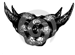 Illustration of fantasy demon head