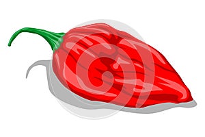 Single Red Chili Pepper Flat Cartoon Vector photo