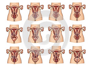 Illustration featuring twelve variations of male