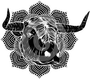 black silhouette of ferocious bull head on a white background