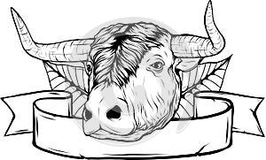 Vector illustration of ferocious bull's head black and white