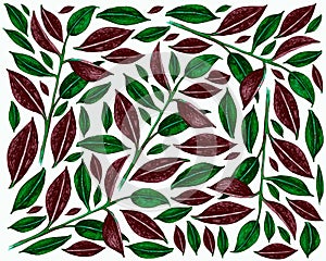 Illustration of Ficus Elastica or Rubber Plants Background