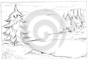 Illustration of fir trees