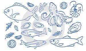 Illustration of fish, octopus, and shellfish with related elements