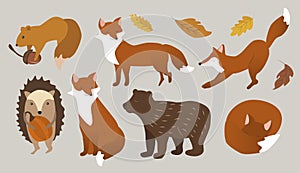Illustration in flat style. set of various forest animals - fox, hedgehog, squirrel, bear and autumn foliage photo