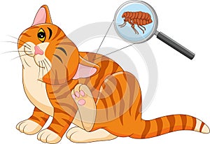 Illustration of flea Infested cat photo