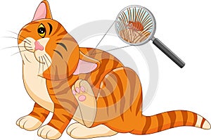 Illustration of flea Infested cat photo