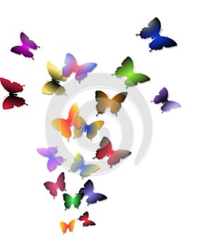 Illustration of flight of colorful butterflies