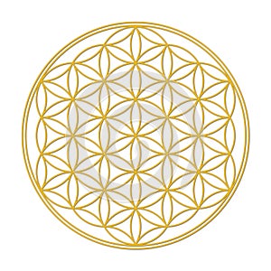 Flower of Life