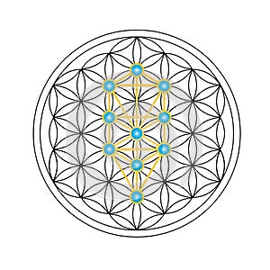 Flower of life with Kabbalah tree of life, Judaism photo