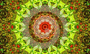Illustration: Flower-shaped mandala