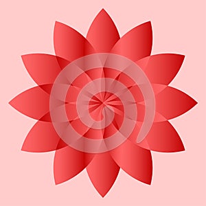 Illustration of flowers or feathers in red tones isolated on pink background. Bloom from the middle