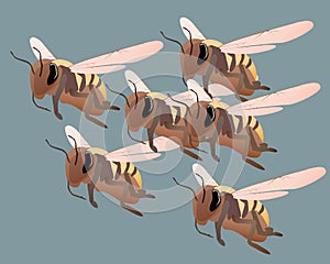 illustration of a flying bees