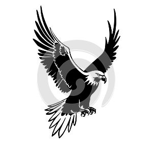 Illustration of flying eagle in black and white style.