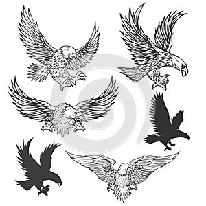 Illustration of flying eagle isolated on white background. Vector illustration.