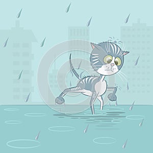 Illustration in the form of a wet cat