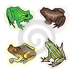 An Illustration Four Different Type of Frogs