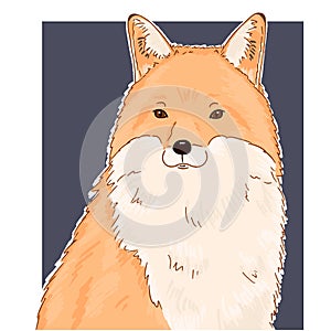 Illustration of fox animal face. Vector cute red fox portrait. Realistic winter fur red wild fox portrait on black background