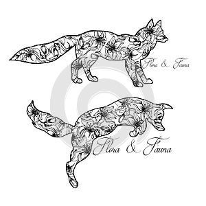 Illustration of foxes. Playing animals. Wild nature. Flora and fauna