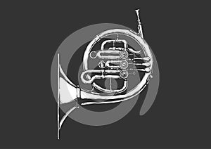 Illustration of french horn