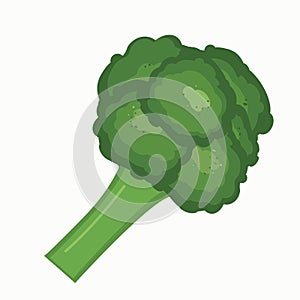 Illustration of fresh green broccoli