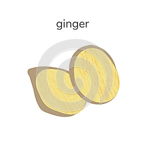 Illustration of fresh slice of ginger spice isotated on white background. Hand drawn illustration