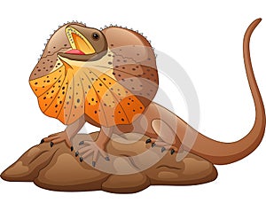 Illustration of frilled lizard isolated on white background