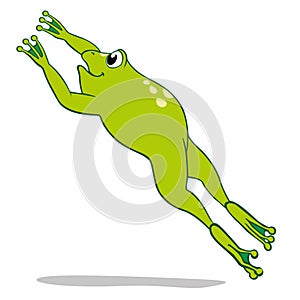 Illustration of a frog jumping. Ideal for educational