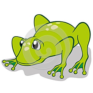 Illustration of a frog sitting. Ideal for educational