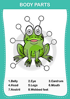 Illustration of frog vocabulary part of body