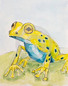 Illustration of a frog in watercolor. A watercolor image of a green frog. An amphibian.