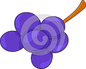 illustration of fruit, purple grapes