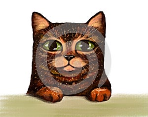 Illustration of a funny cartoon tabby cat, ginger brown, sitting with its paws out and looking at the camera. Crayon-drawn funny