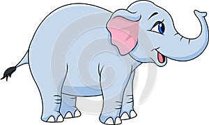 Funny elephant