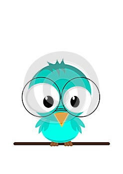 Illustration of a funny owl in glasses sitting on a branch