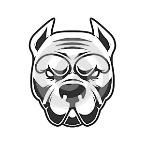 Illustration of funny pitbull terrier head. Design element for logo, label, sign, emblem.