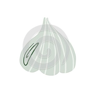 Illustration of garlic in collage style, isolated on a white background