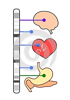 Illustration of a genome-wide association study