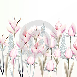 Illustration with gentle vector pink crocus flowers, spring style