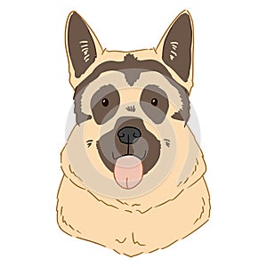 Illustration of german shepherd portrait on white background. Vector drawn by hand art of cute cartoon dog head. Colorful picture